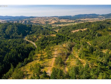 1393 Old Pioneer Rd, Oakland, OR 97462 - photo 7