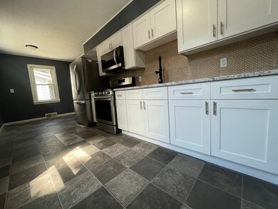 1009 Plum St, Aurora, IL 60506 - photo 4