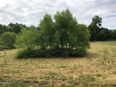 14 Deerwood Rd, Greeneville, TN 37743 - photo 2