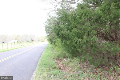 0 Mallorys Ford Rd unit 1000142097, Gordonsville, VA 22942 - photo 7