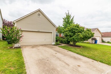 Beautiful landscape with a Magnolia tree
