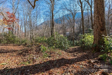 Lot Huckleberry Dr unit 24, Maggie Valley, NC 28751 - photo 3