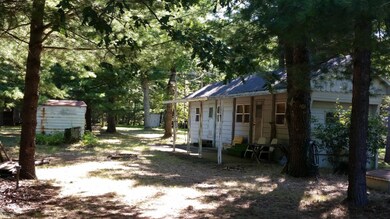 8634 Virginia Blvd, Baldwin, MI 49304 - photo 2