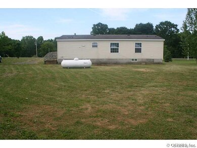 Backyard.