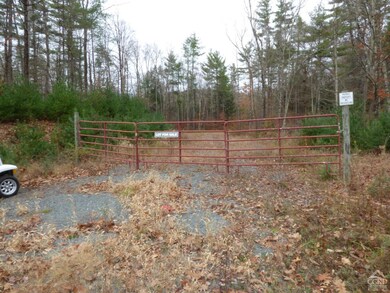 Front Entry Gate