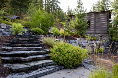 Stairs to Main Entry and Back Yard
