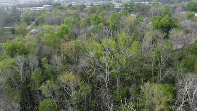 3608 Thomasina Rd, Alexandria, LA 71302 - photo 4