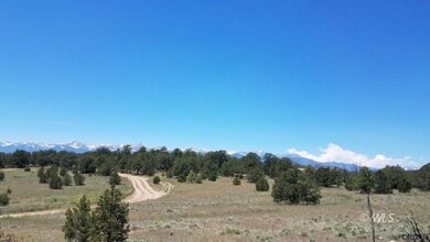 Trees and wide open spaces.