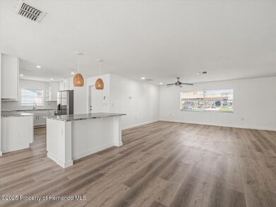 3366 Minnow Creek Dr, Hernando Beach, FL 34607 - photo 7