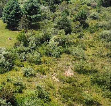 57 Bluebird Dr, Terra Alta, WV 26764 - photo 2