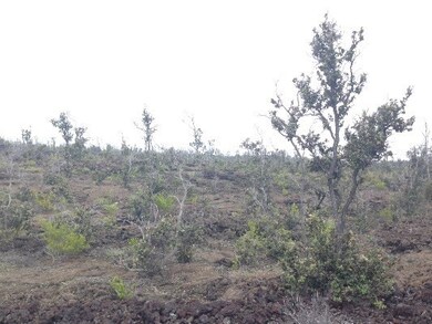 Some Ohia trees are in bloom with beautiful Lehua