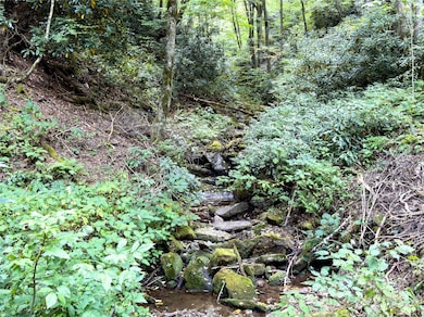 Lot 59 Black Rock Rd unit 59, Cherokee, NC 28719 - photo 4