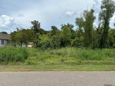 15898 Cypress Point Ln, French Settlement, LA 70733 - photo 6