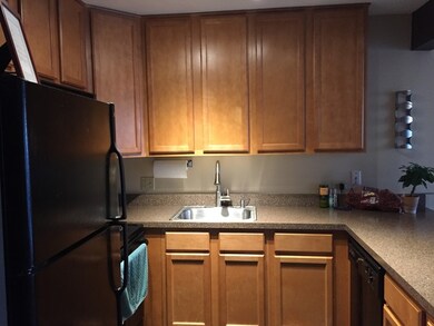 5807 Oakwood Dr unit F, Lisle, IL 60532 - photo 6