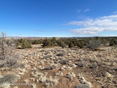 Looking North from South Side of Propert
