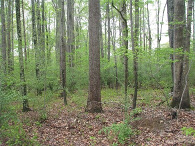 558 Akinbac Rd, Clover, SC 29710 - photo 3