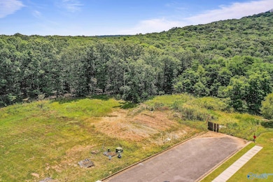 35.5 Acres Hawks Way NE, Huntsville, AL 35811 - photo 5