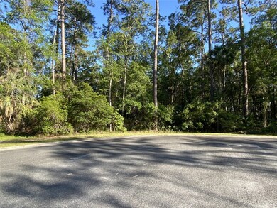 191 Bluebill Trail, Brunswick, GA 31523 - photo 4