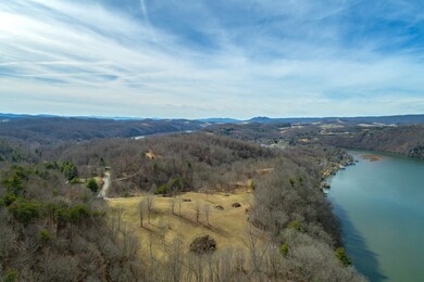 TBD Blackberry Ln, Hiwassee, VA 24347 - photo 5