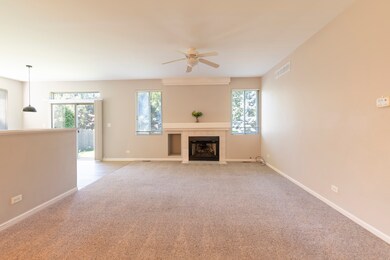 12220 Pear Tree Way, Plainfield, IL 60585 - photo 3