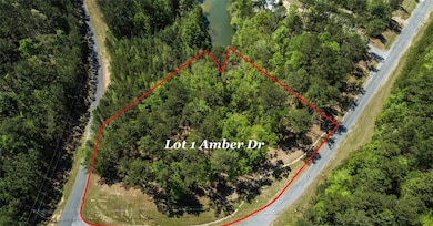 Lot 1 and 2 Amber Dr, Jacksons Gap, AL 36861 - photo 3