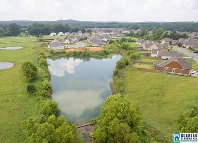 Aerial View Shelby Farms Pond from East
