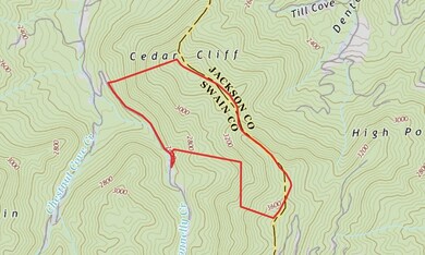 3995 Conley's Creek Rd, Whittier, NC 28789 - photo 5