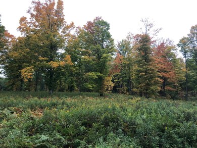 Lots 2/3 Strong Rd, Argonne, WI 54511 - photo 7