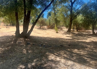 3568 Manzanita Rd, Mariposa, CA 95338 - photo 4