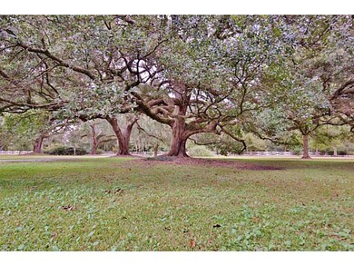 Photo. Live Oaks covering the property!