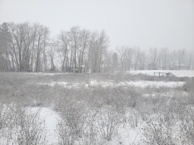 Field
