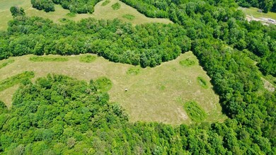 120 Acres Carnes Chapel Rd, Attalla, AL 35954 - photo 4