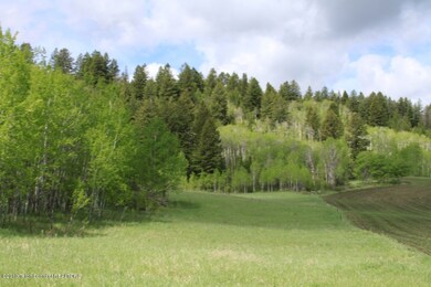 IMG_0352 Meadows, trees, tall grasses