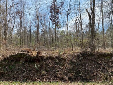 N/A D P Guy Rd, Ruth, MS 39662 - photo 5