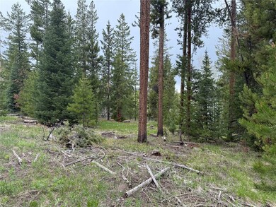 33435 Filly Trail, Oak Creek, CO 80467 - photo 4