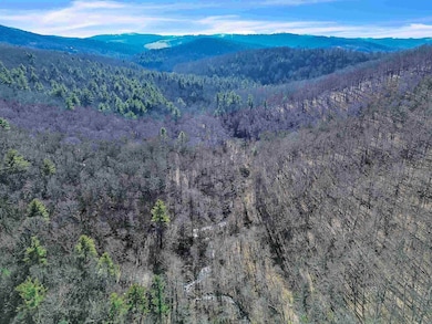 1398 Cox Store Rd SW, Floyd, VA 24091 - photo 4