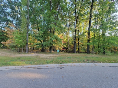 Beautiful wooded setting