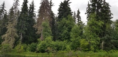 20180718_114740_resized
