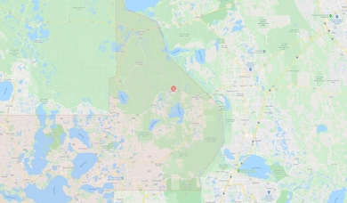 0 Palmetto St unit 25565546, Paisley, FL 32767 - photo 7