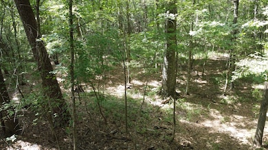 0 Twin Bridges Rd unit 11579160, Eatonton, GA 31024 - photo 7