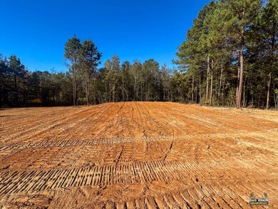 12068 Farm To Market 130, Hughes Springs, TX 75656 - photo 5