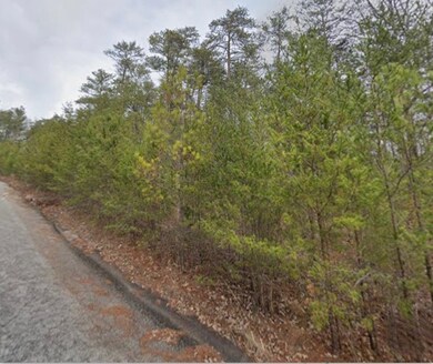 18 Skyline Dr, Braswell, GA 30153 - photo 4