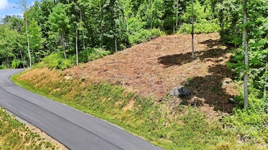 Lot 27 Summit View Pkwy, Spruce Pine, NC 28777 - photo 3