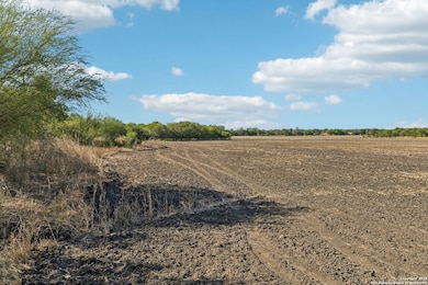 11735 Obrien Rd, Atascosa, TX 78002 - photo 7