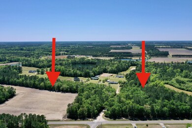 TBD Costie Allen Rd, Aynor, SC 29511 - photo 2