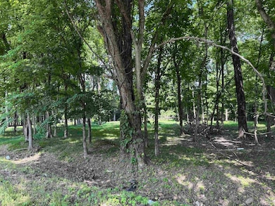View of local wilderness
