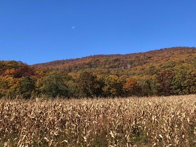 906 Wolfe Rd, Covington, VA 24426 - photo 5