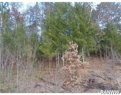 0 Fairgrounds Rd unit 902003, Lincoln Township, WI 54893 - photo 6