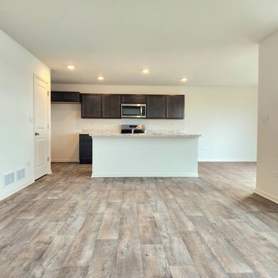 409 Monte Carlo Way, Joliet, IL 60436 - photo 2