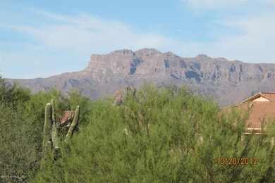 View of Superstition Mountains